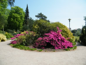 Rhododendronpark 6