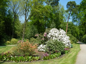 Rhododendronpark 17