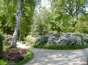 Rhododendronpark 17